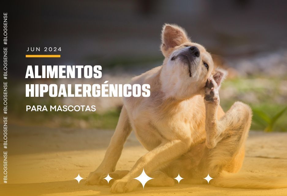 Alimentos hipoalergénicos para mascotas